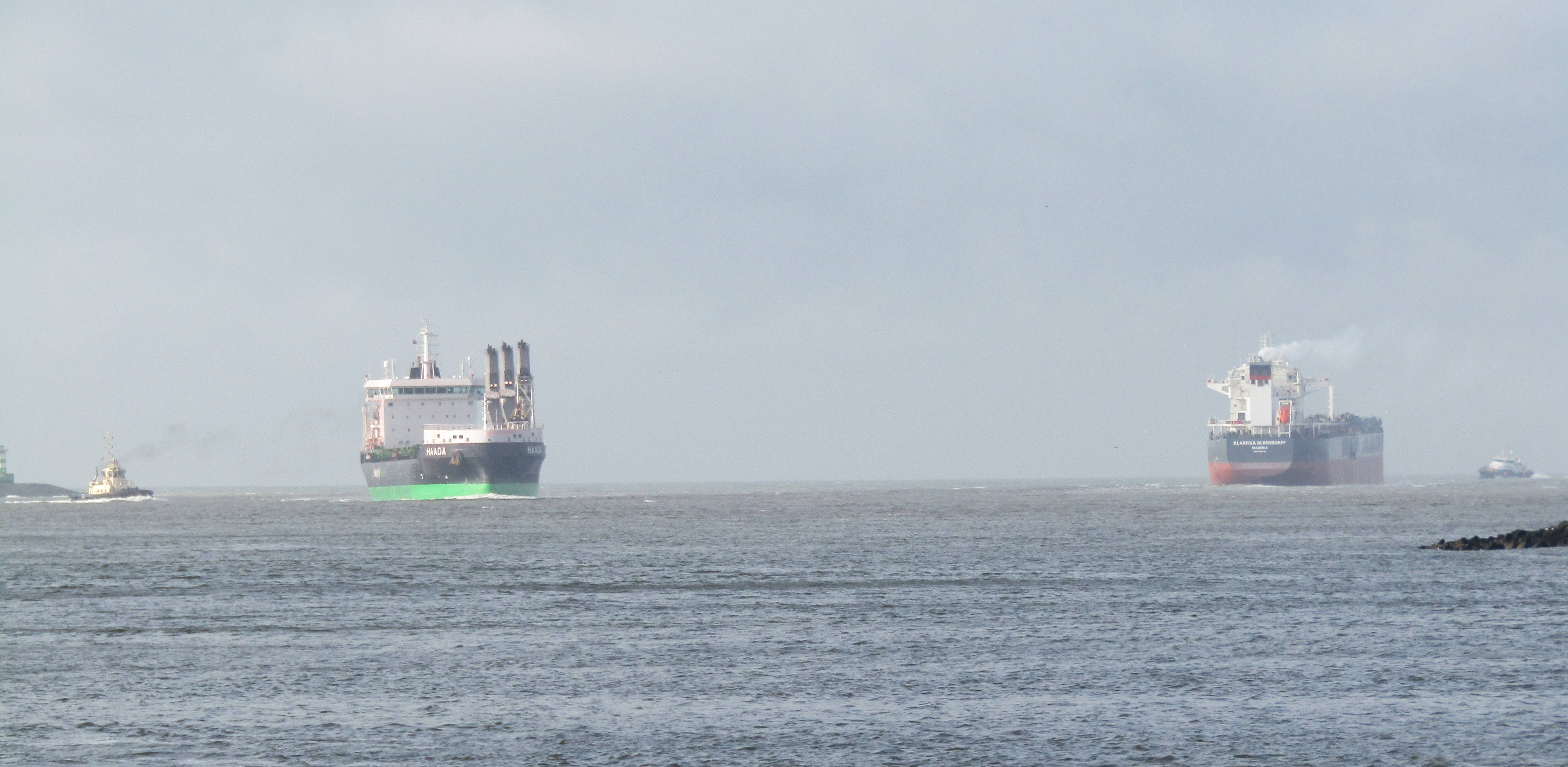 Pieren IJmuiden   10-02-24 
